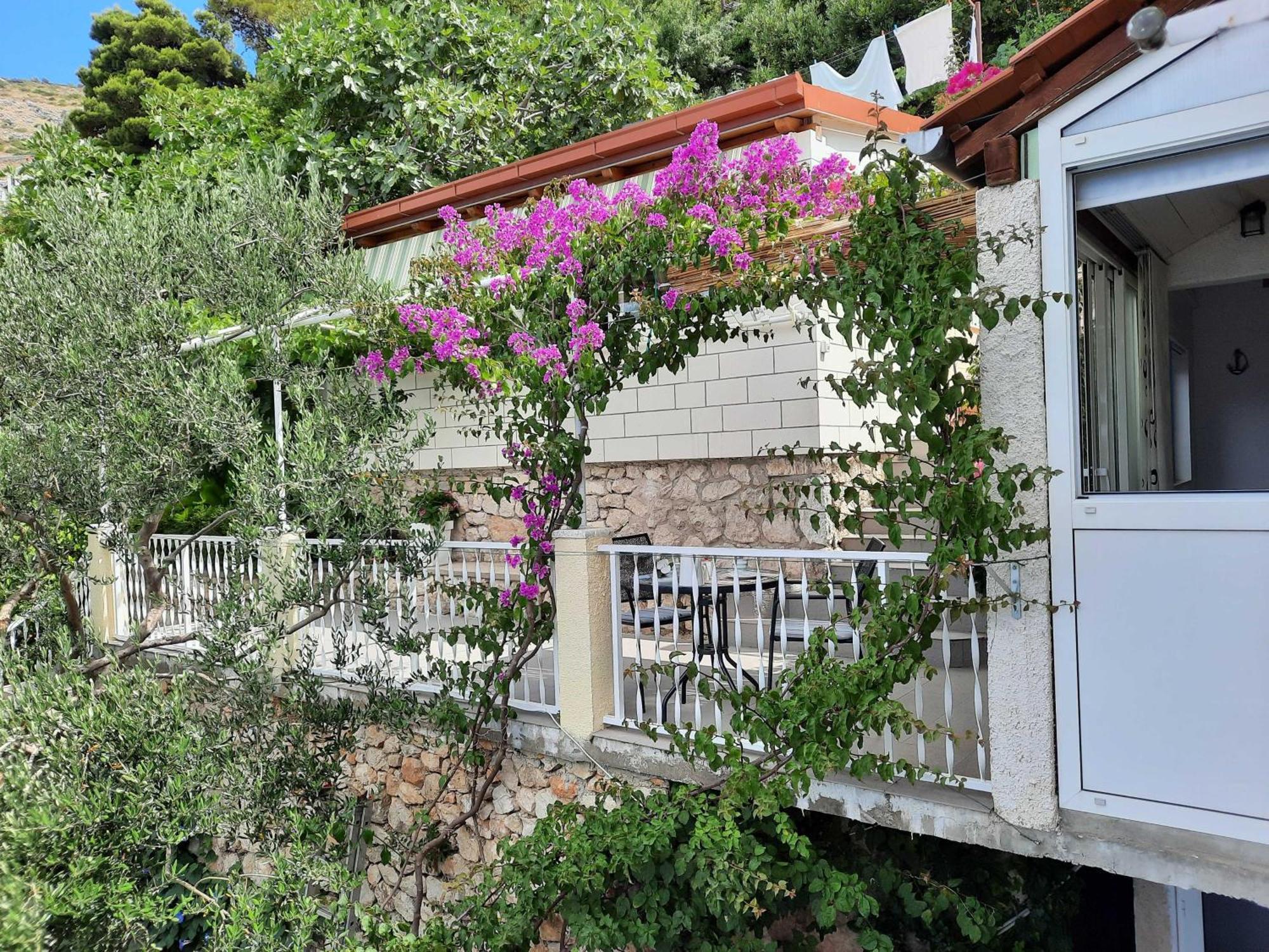 Apartments Kirigin Dubrovnik Szoba fotó